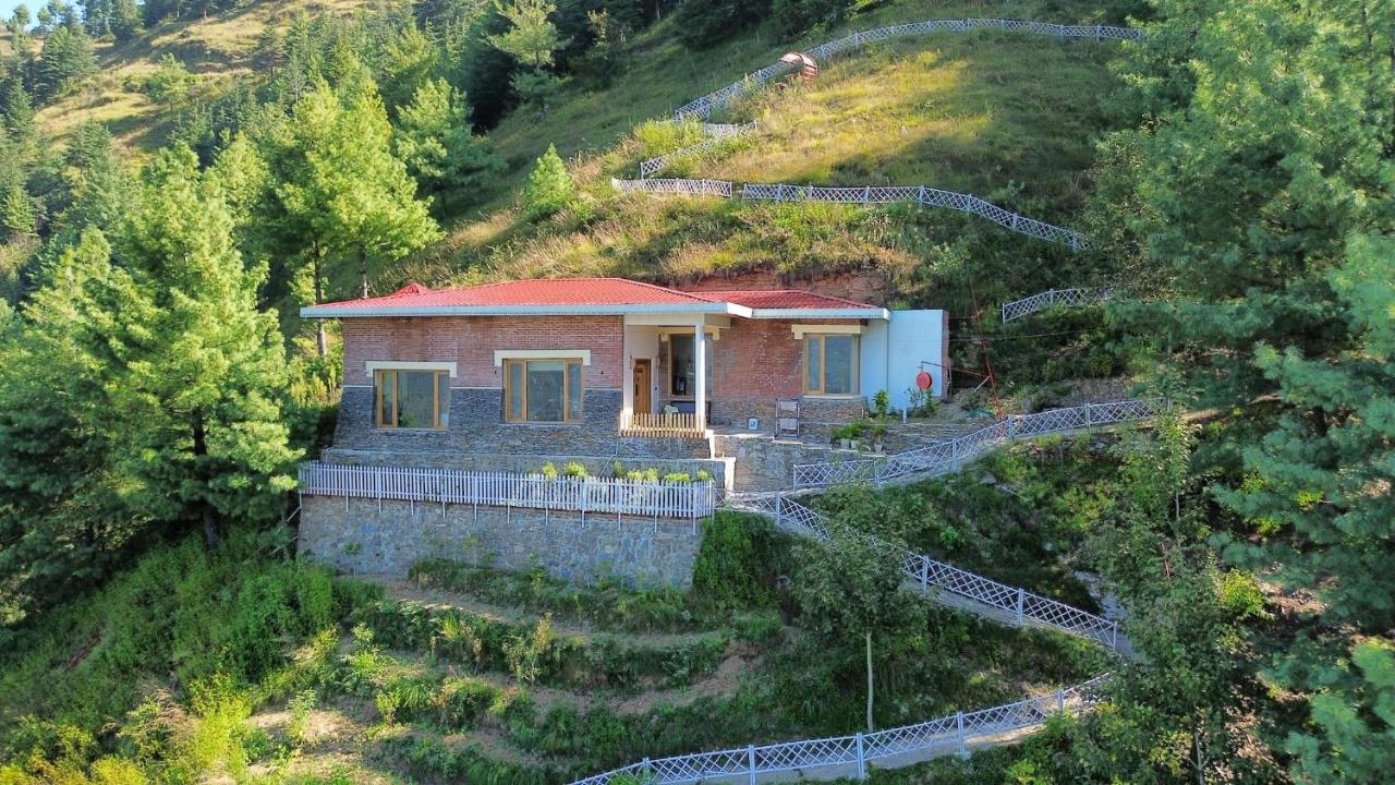Firdaus at Theog - Luxurious Mountain View Villa, Cottage, and Studio - B&B Theog