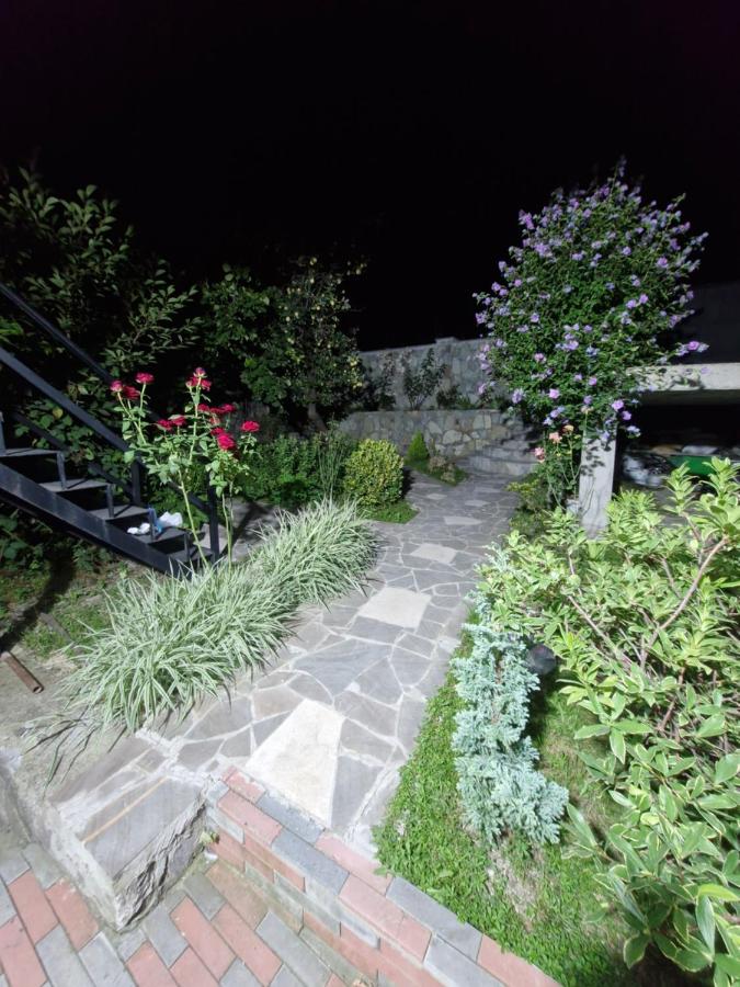 Lake view- Ananuri guest house - B&B Ananuri