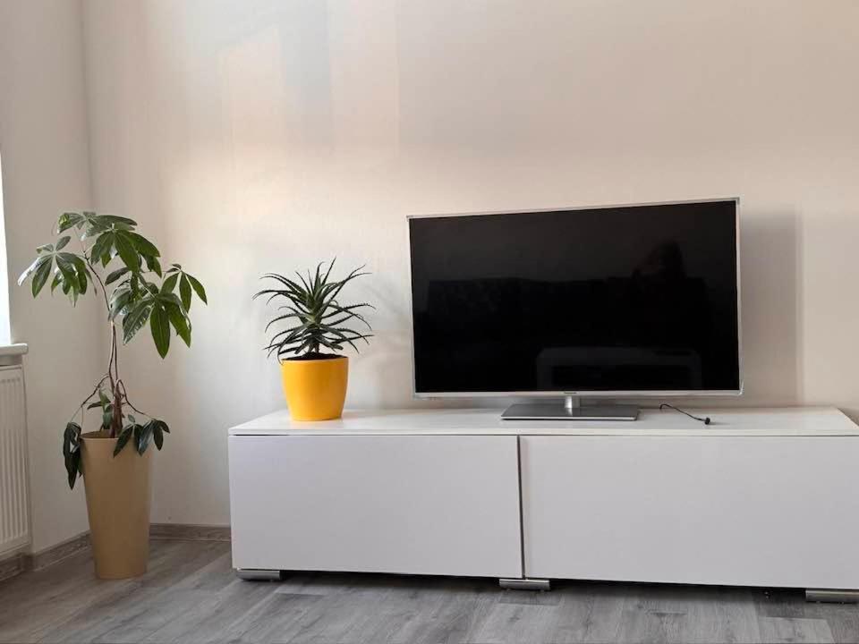 Blue Rose Apatrman2 - Bed and Breakfast Karlsbad