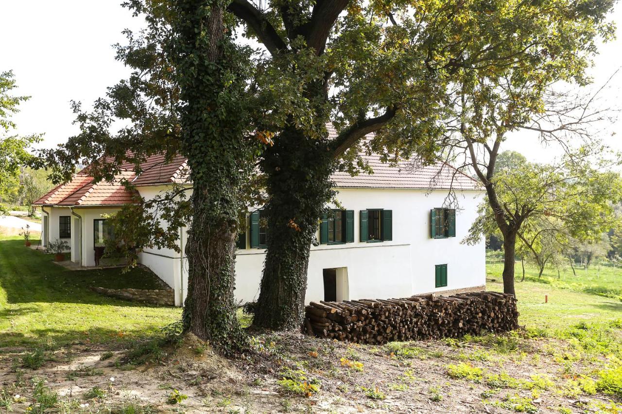 VILLABOGArT Esküvő-és Rendezvényhelyszín - B&B Alsóbogát