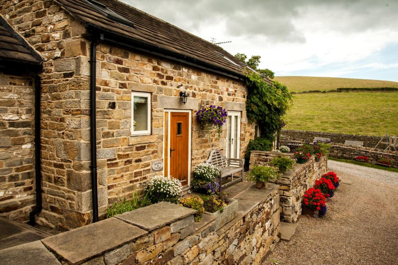 B&B Stainburn - Bramble Cottage & Rossmoor Cottage - Bed and Breakfast Stainburn