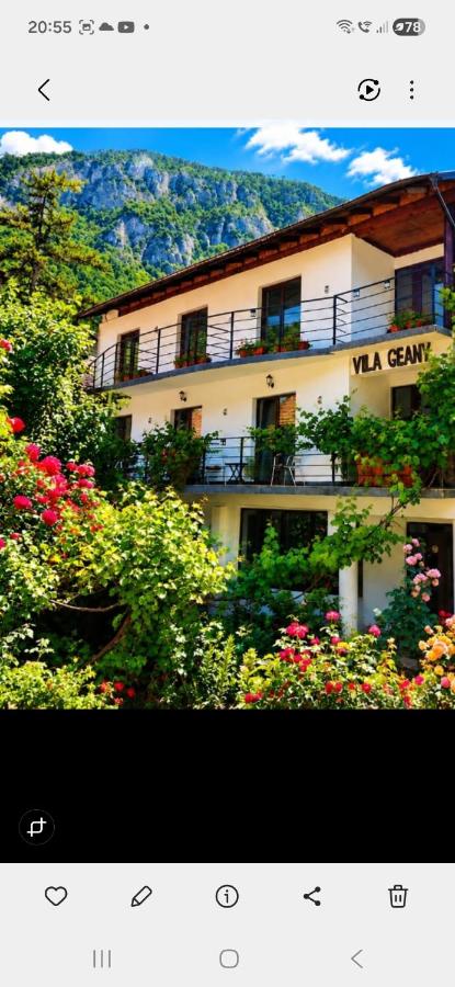 Vila Geany - B&B Băile Herculane