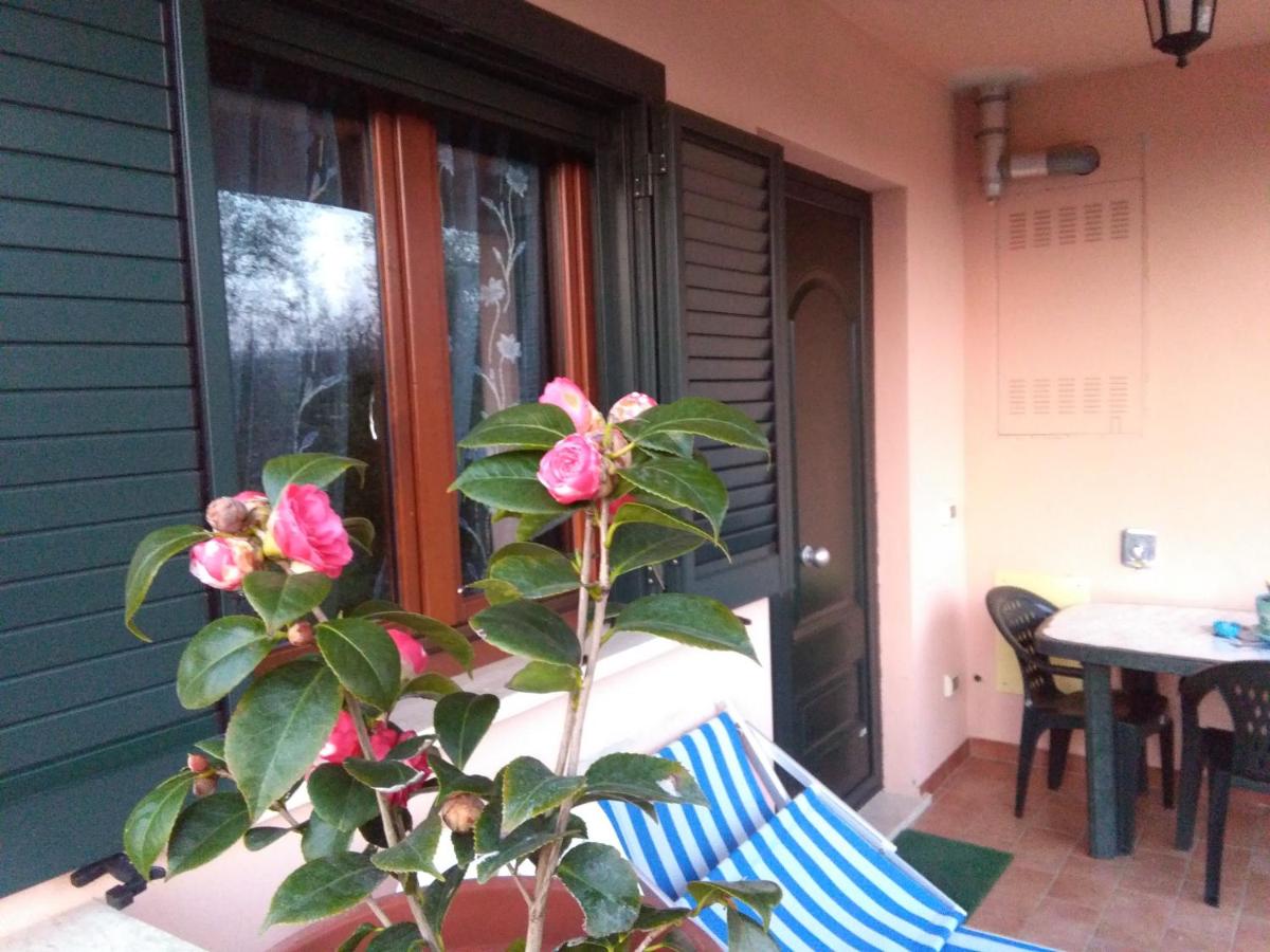 Appartement met uitzicht op de tuin