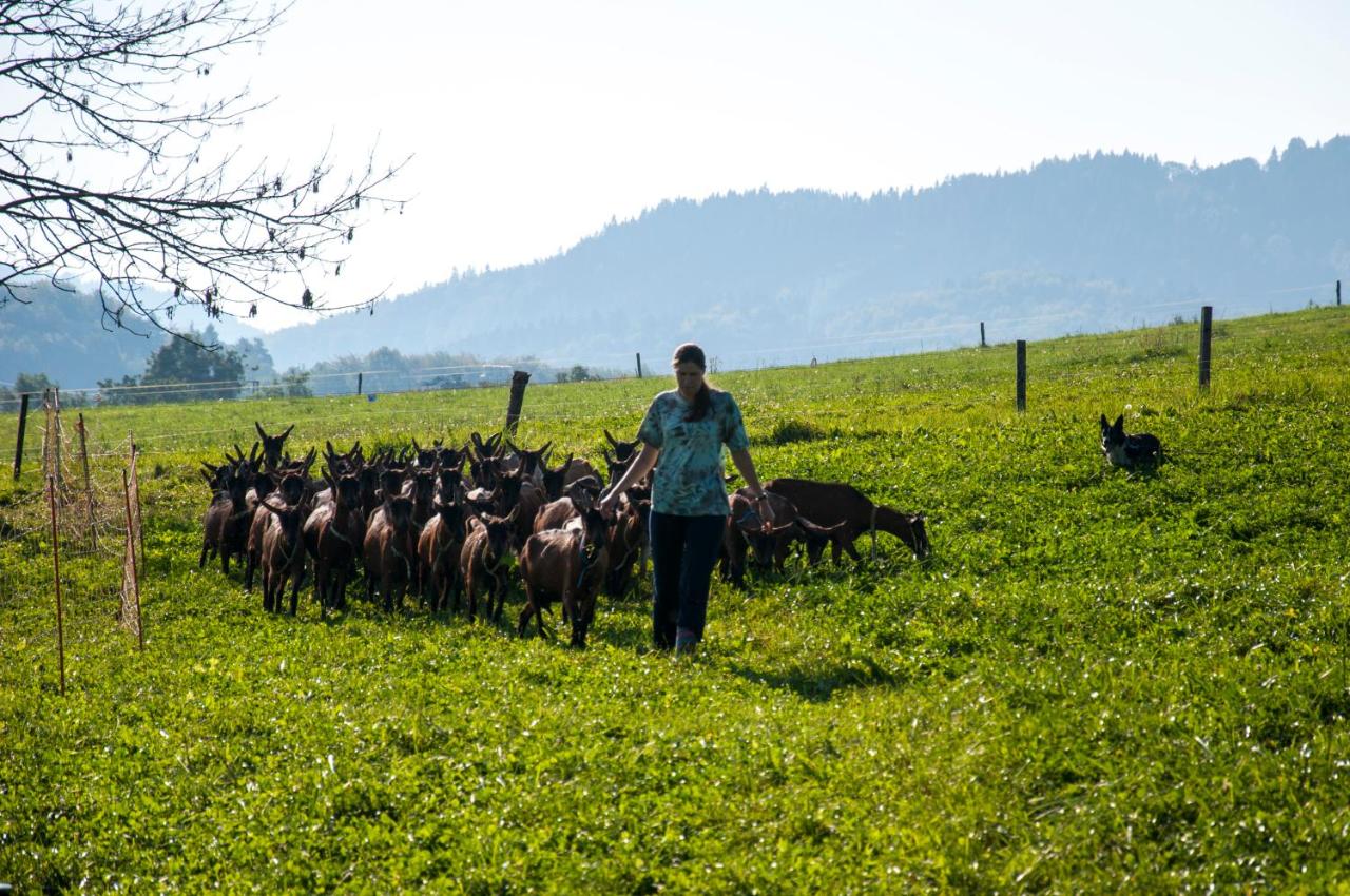 B&B Rožnov pod Radhoštěm - Agroturistika kozí farma Rožnov pod Radhoštěm - Bed and Breakfast Rožnov pod Radhoštěm