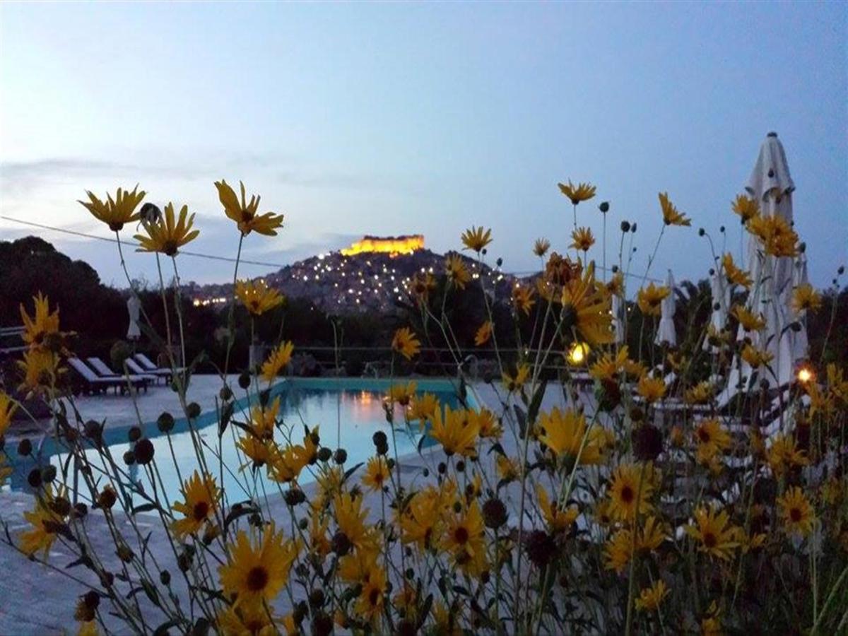 Moongarden - B&B Molivo