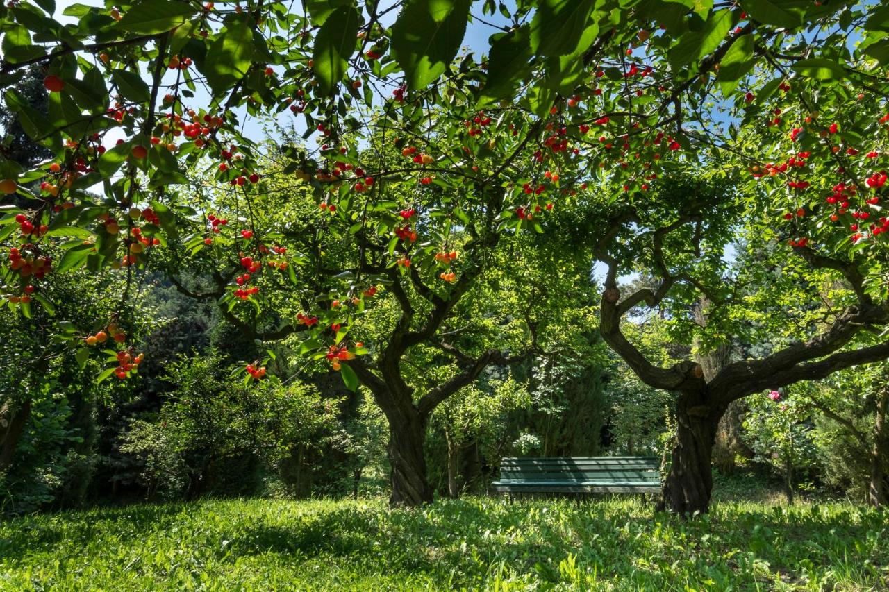 Sotto I Sassi - B&B