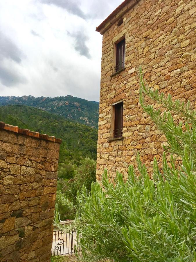 Au village - B&B