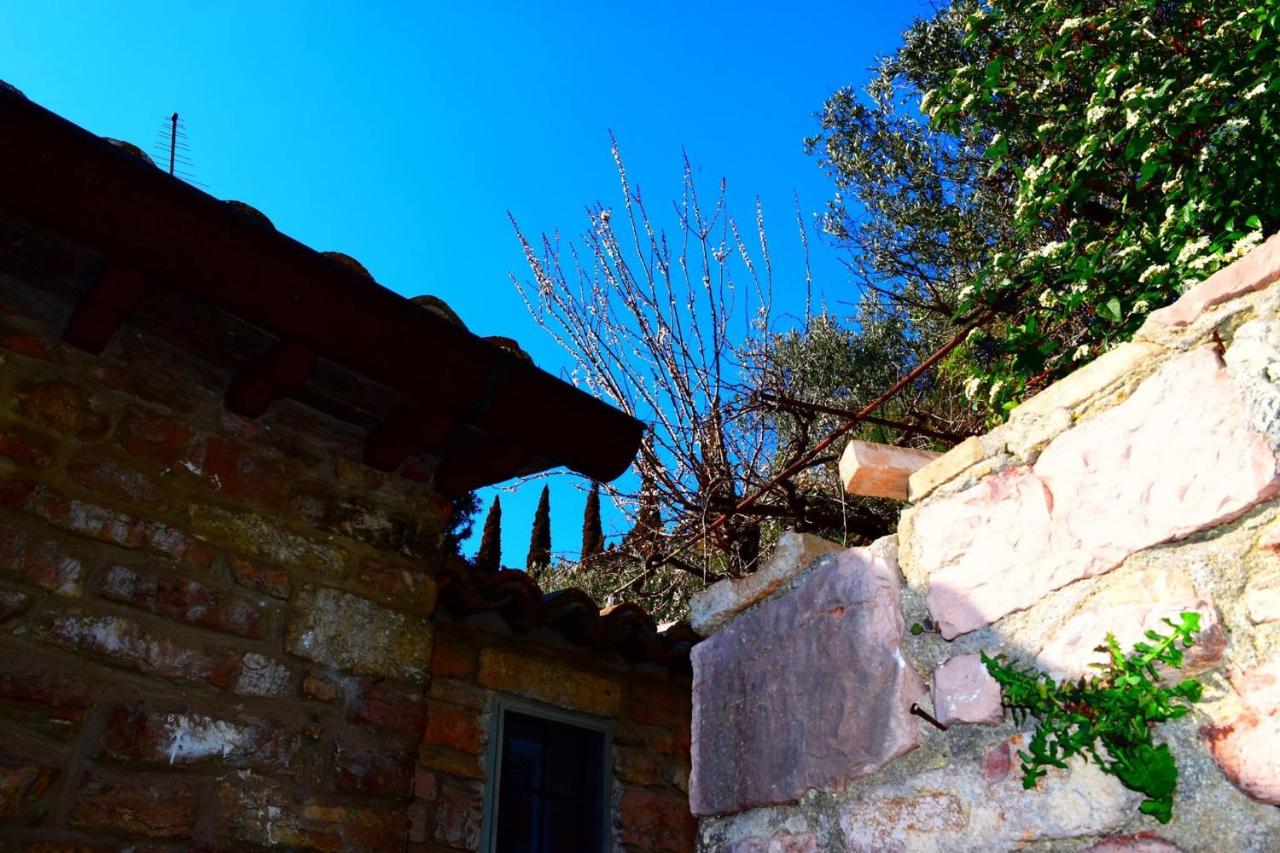 Apartments Aurora Delle Rose - B&B