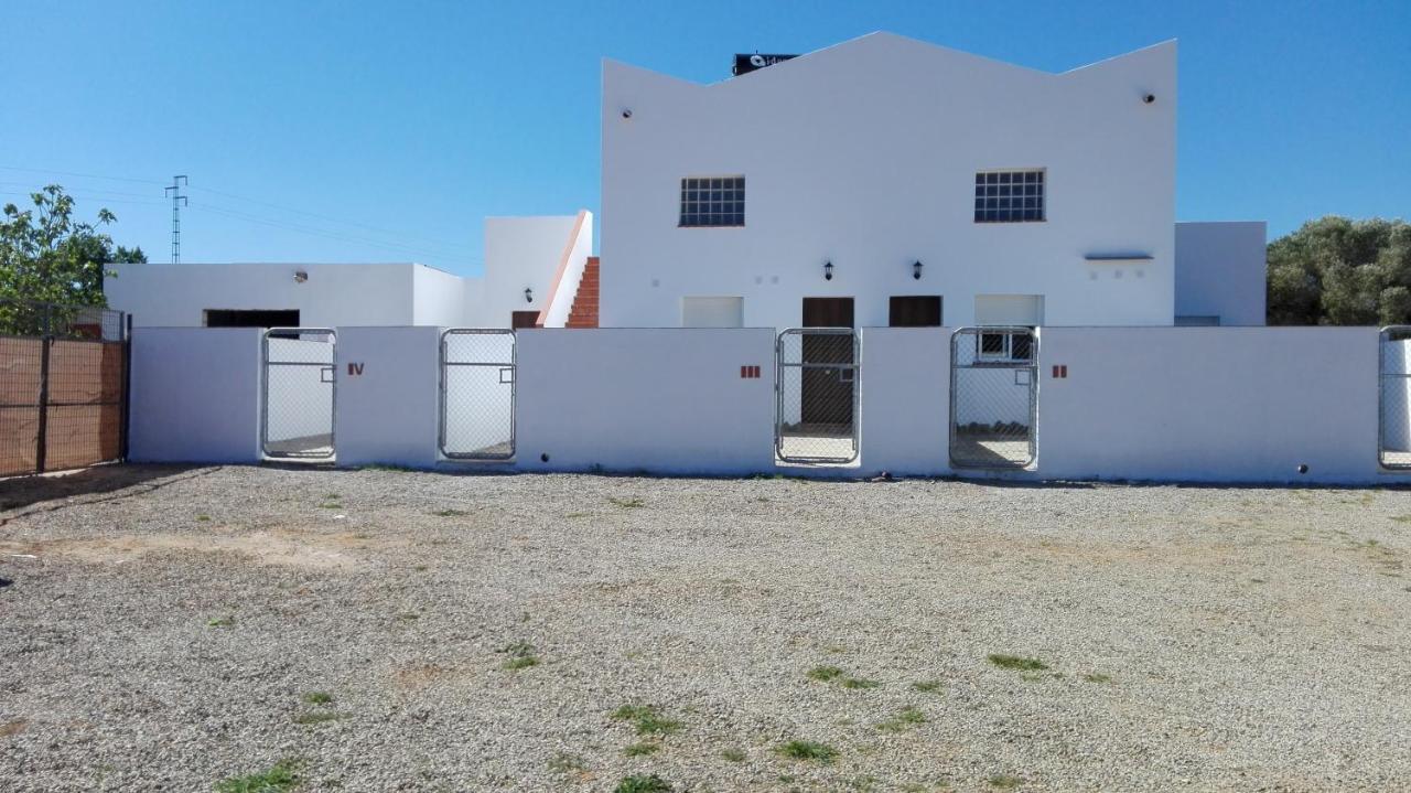 Alojamiento Rural El Abuelo - Chambres d'hôtes Conil de la Frontera