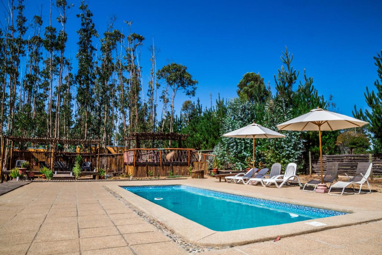 B&B Algarrobo - El Bosque Lodge - Bed and Breakfast Algarrobo