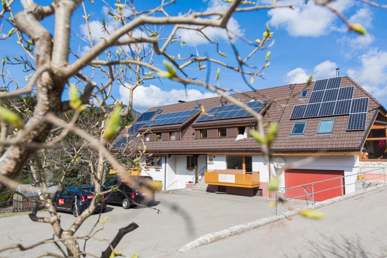 Kuckucksnester Menzenschwand (Vorderdorf) - B&B