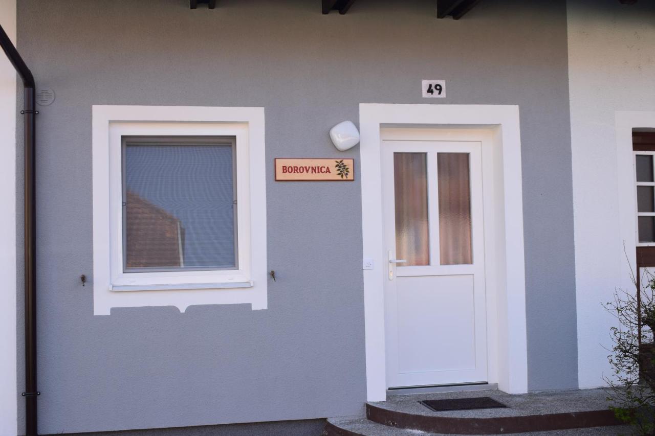 Borovnica Čatež - Ferienwohnung Catez ob Savi
