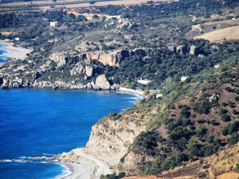 Studio (3 Erwachsene)