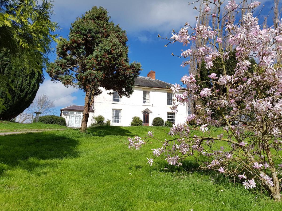 Appartamento Monolocale