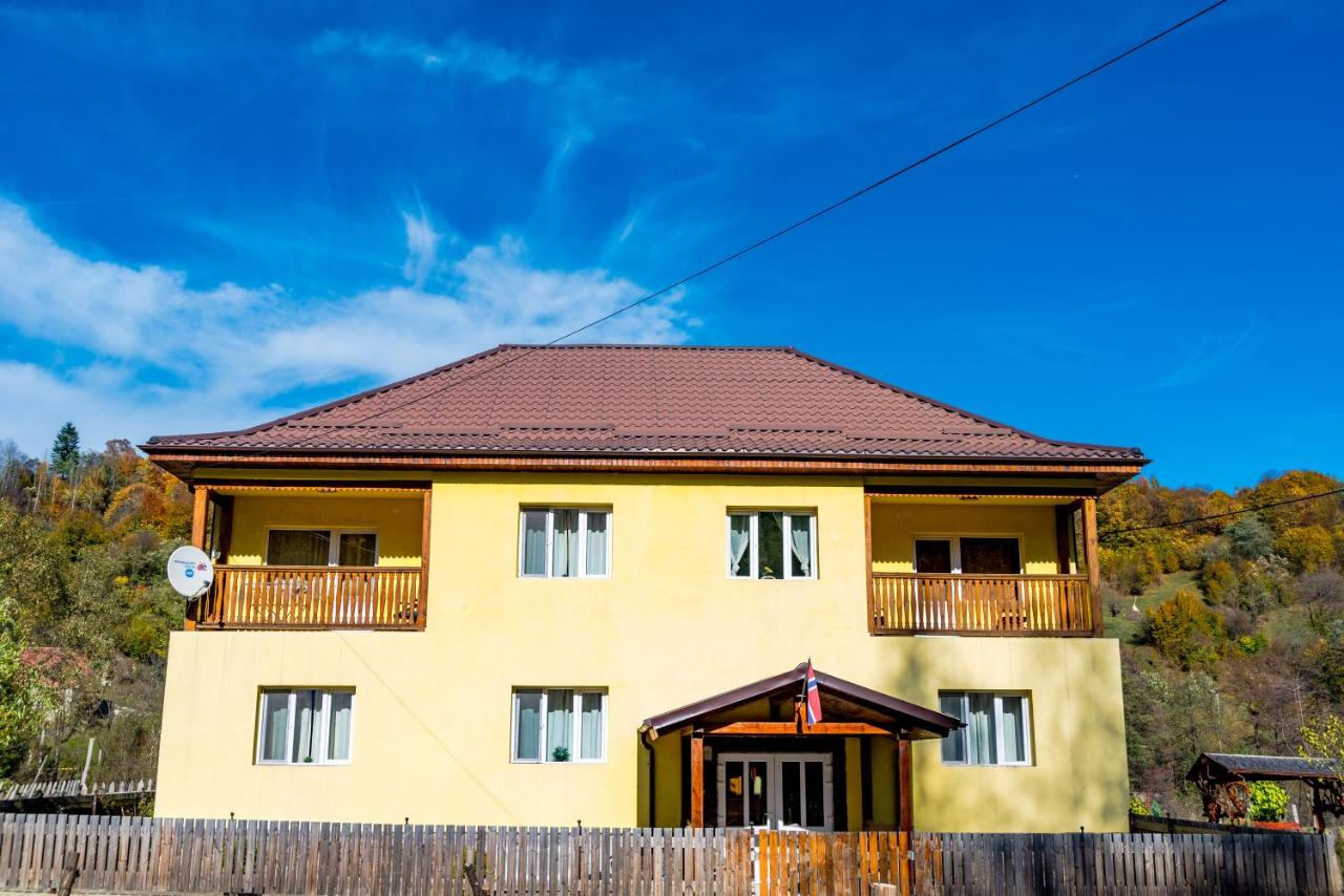 Noring Guest House - Ferienwohnung Lupeni