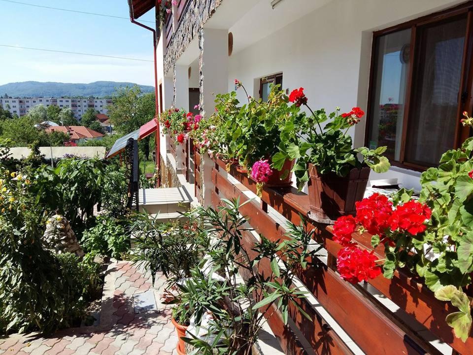 Pensiunea Dana - B&B Horezu
