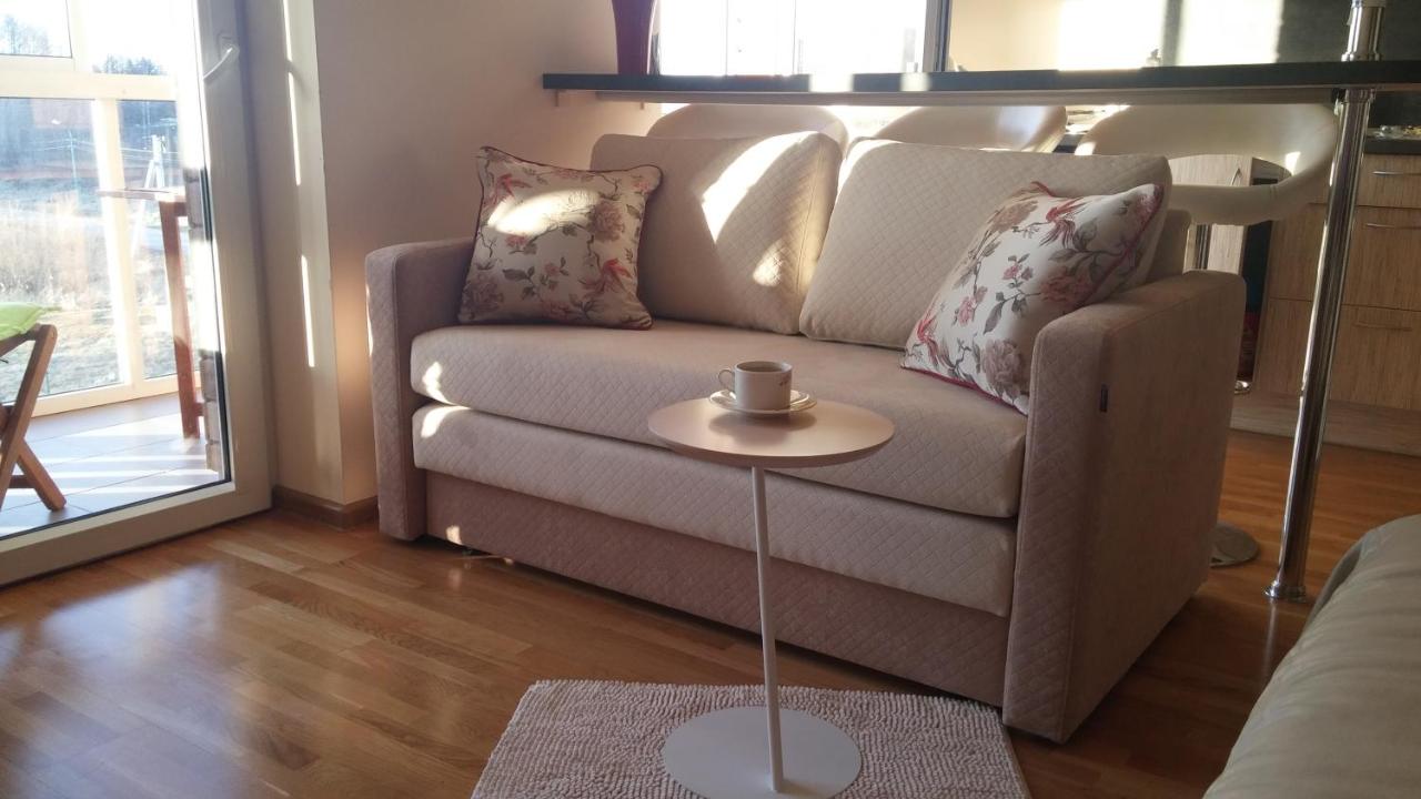 Forest apartment - B&B Palanga