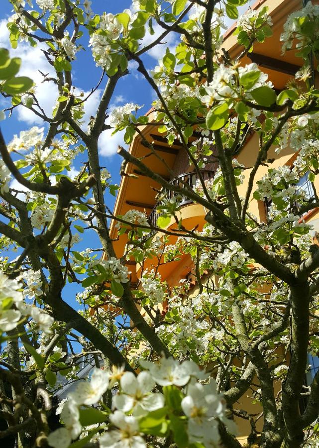 Posada Las Garzas - B&B