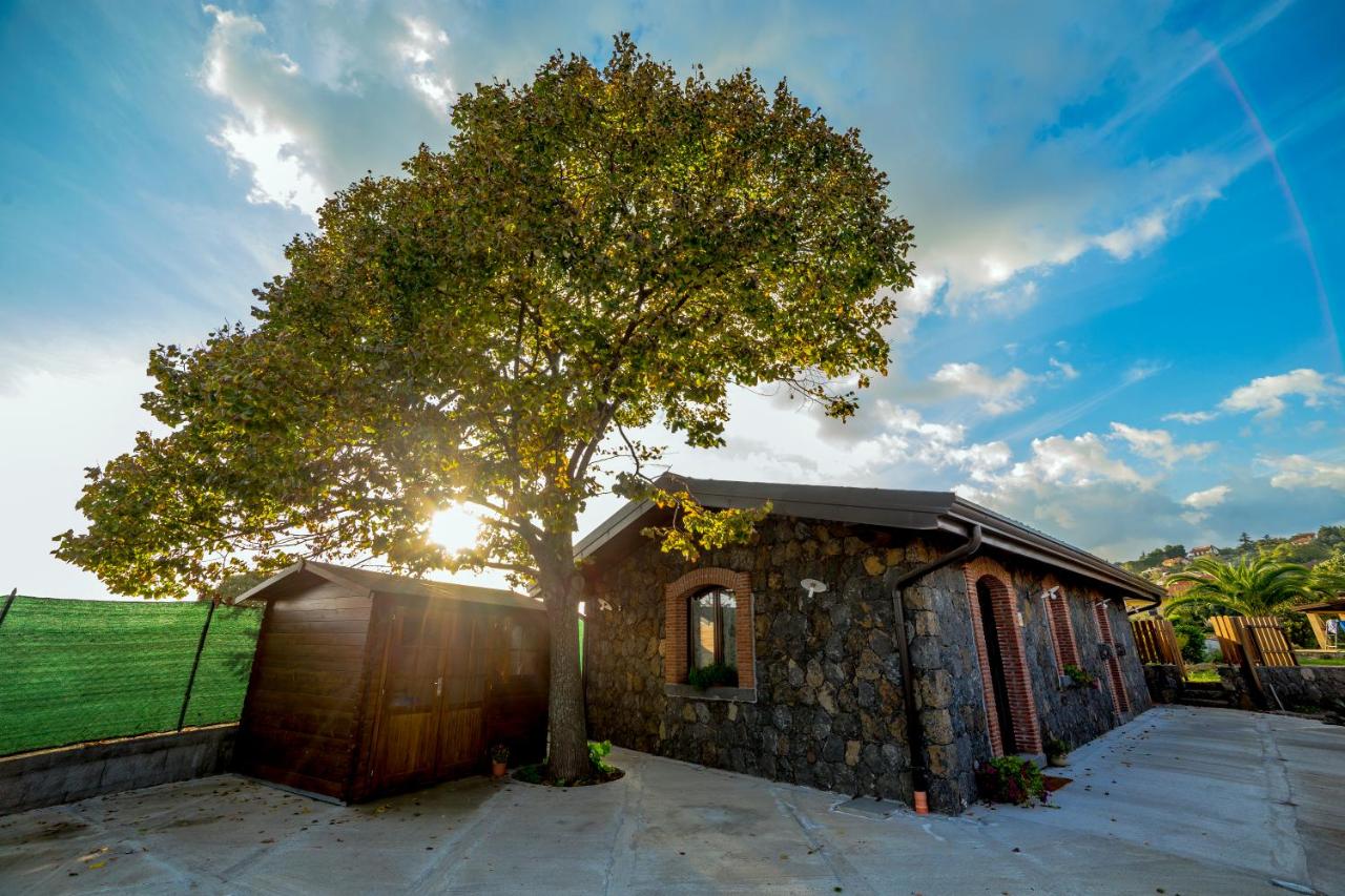 Il Tiglio - B&B