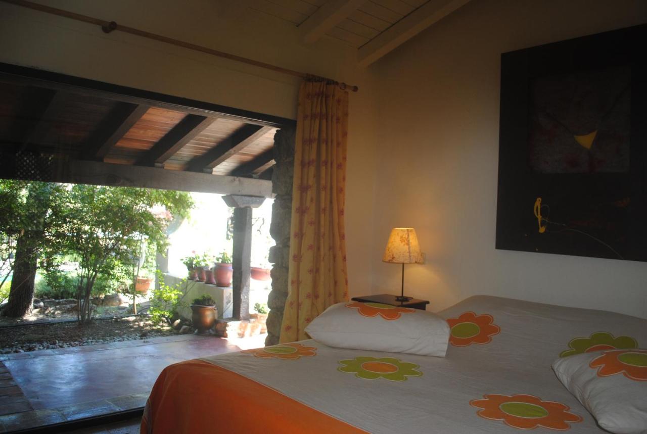 Deluxe Doppel-/Zweibettzimmer mit Zugang zum Pool