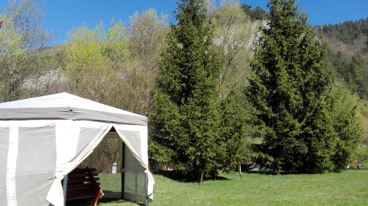 Pensiunea Alpin - B&B
