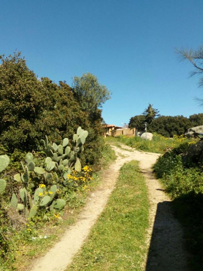 Eucaliptus Farm Retreat - B&B