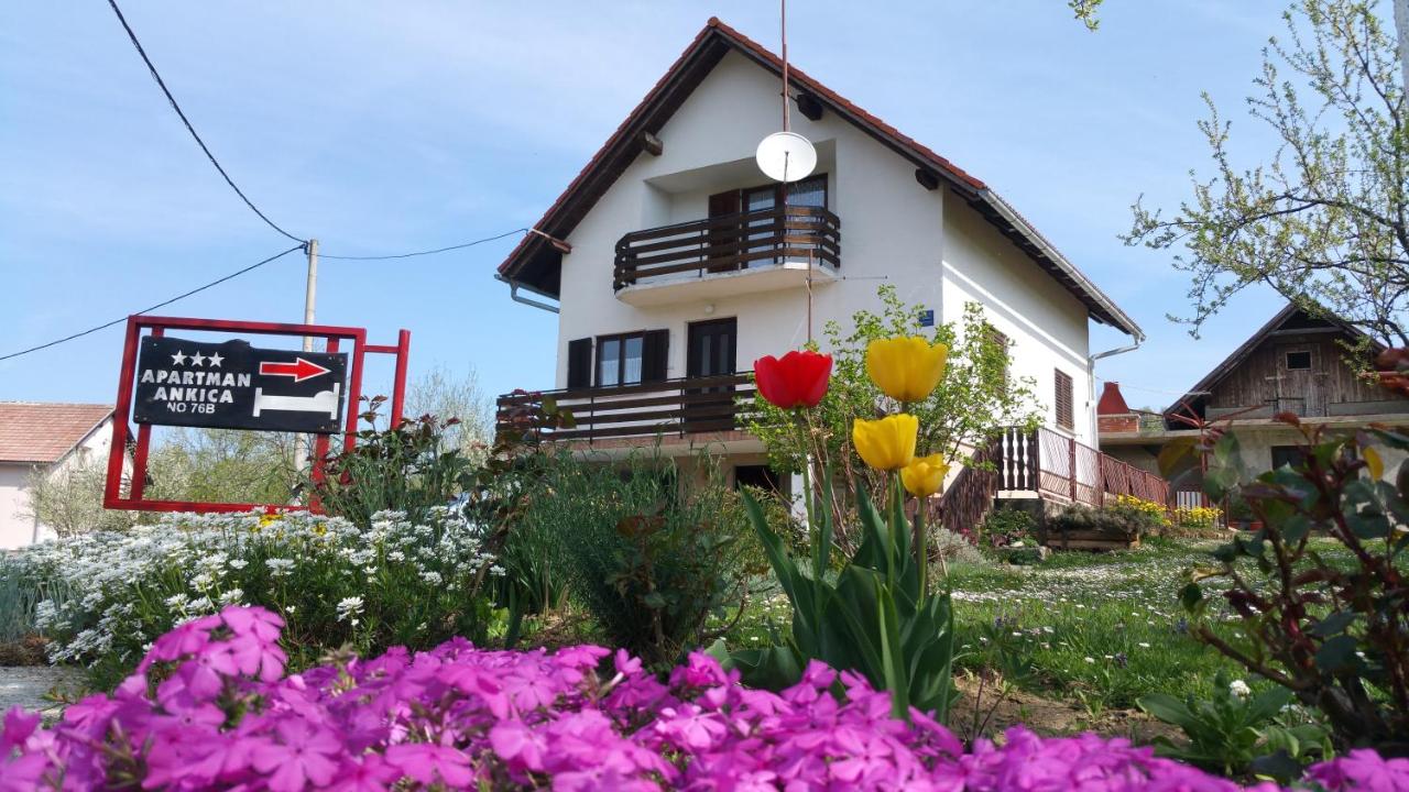 B&B Selište - Apartment Ankica - Bed and Breakfast Selište