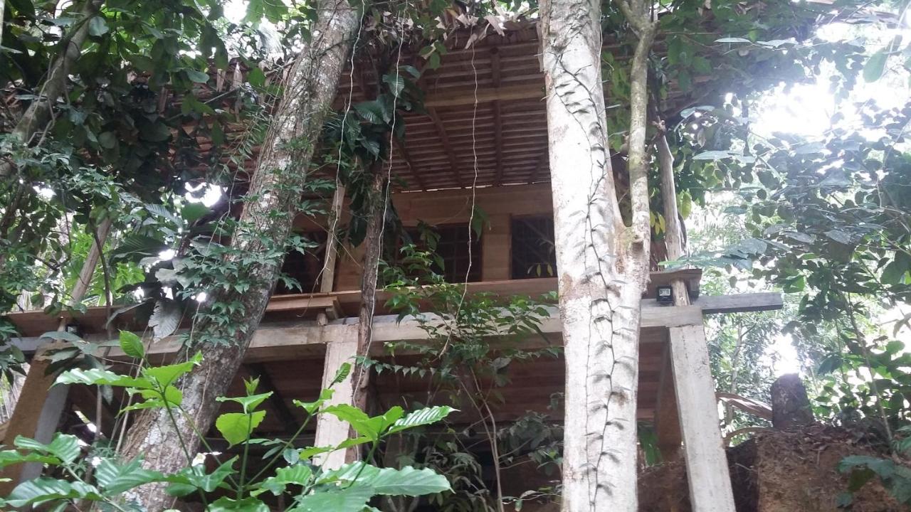 Bedda Eco Cottages - B&B