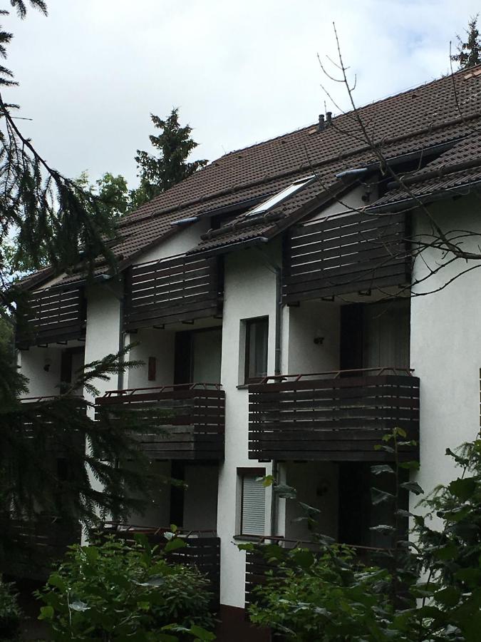 Ferienwohnung Wandervogel - B&B
