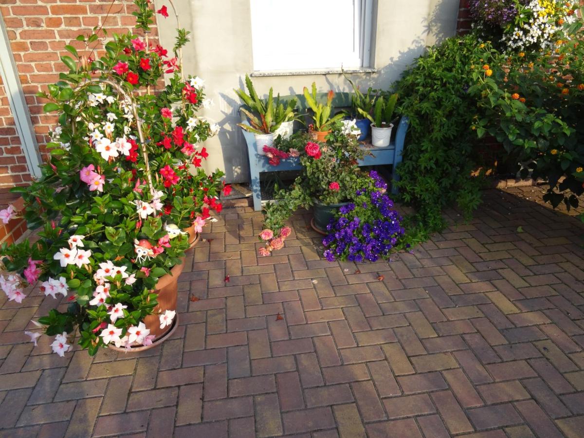 Ferienwohnungen Amselweg - Chambres d’hôtes Brandenburg West