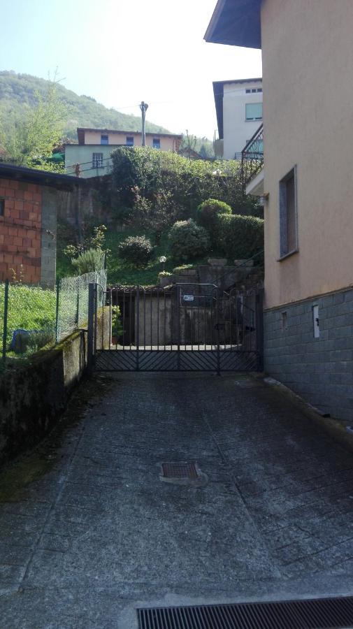 L'Agrifoglio - B&B Lezzeno