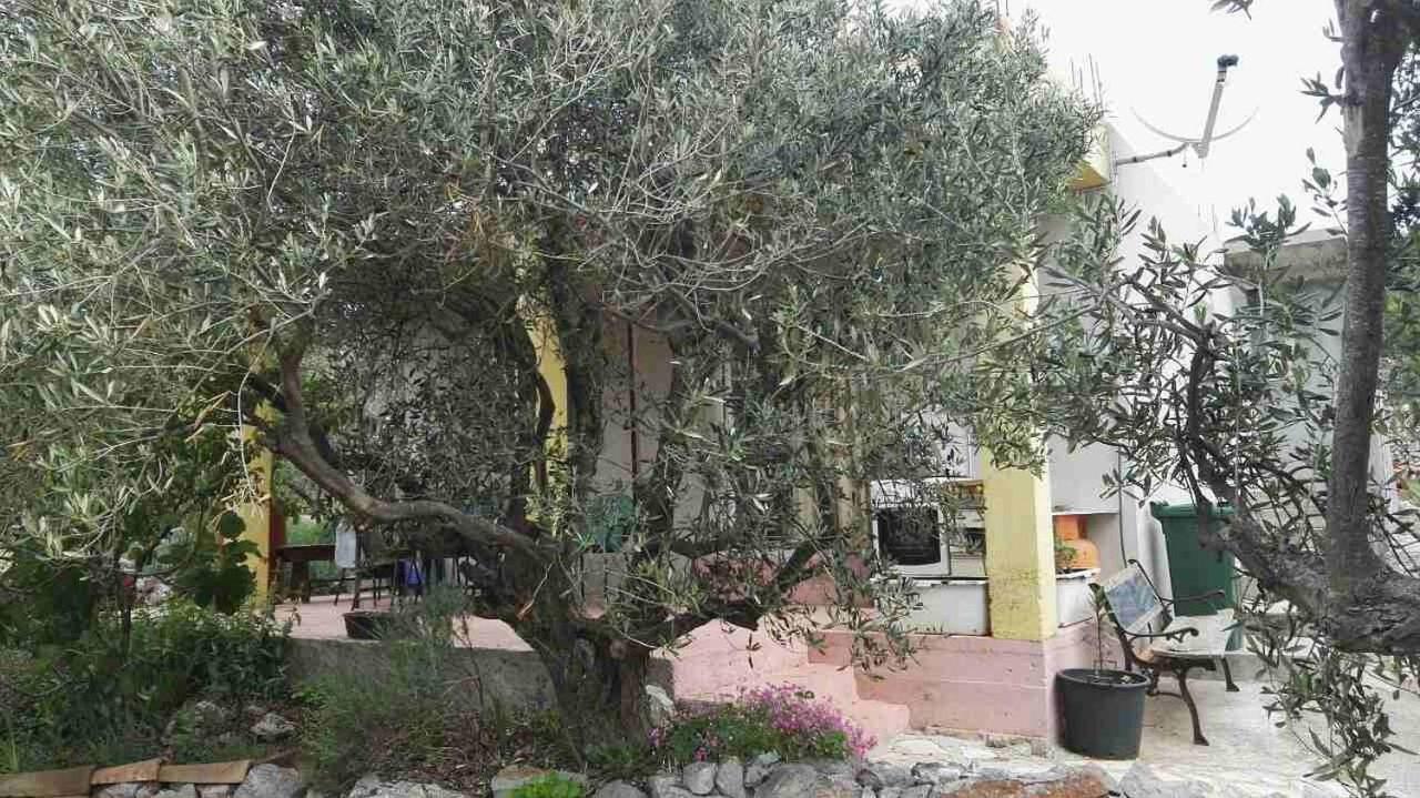 Holiday Home Zeljana - B&B