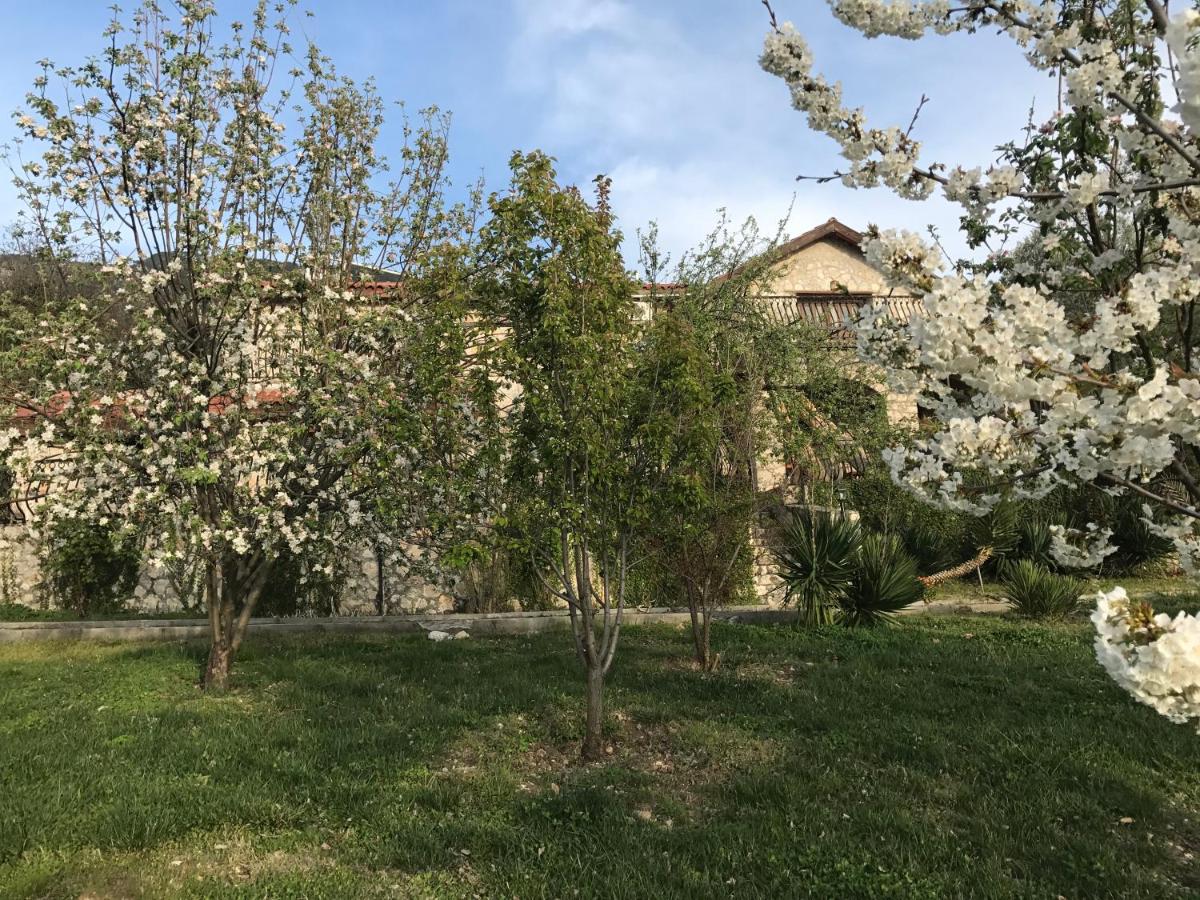 Villa avec Piscine Privée