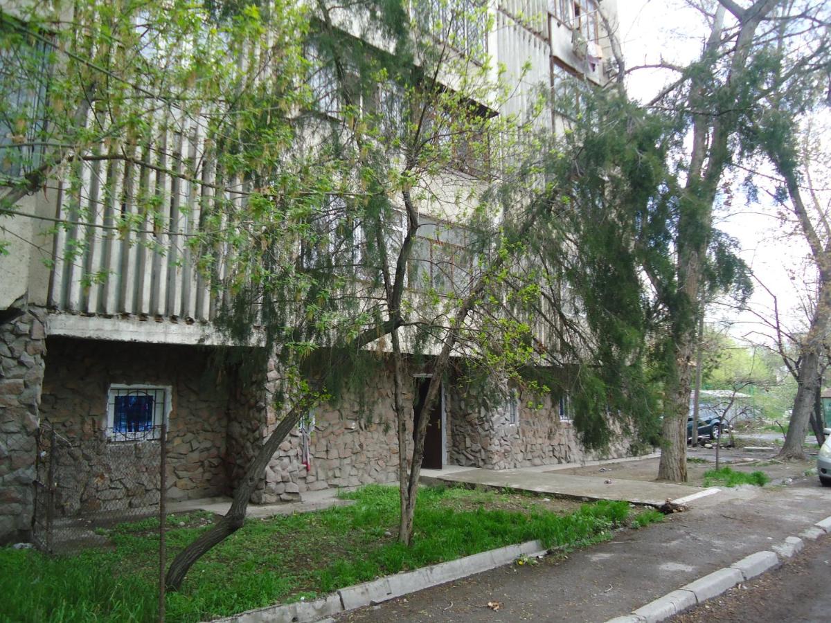 Tumar - B&B Bishkek