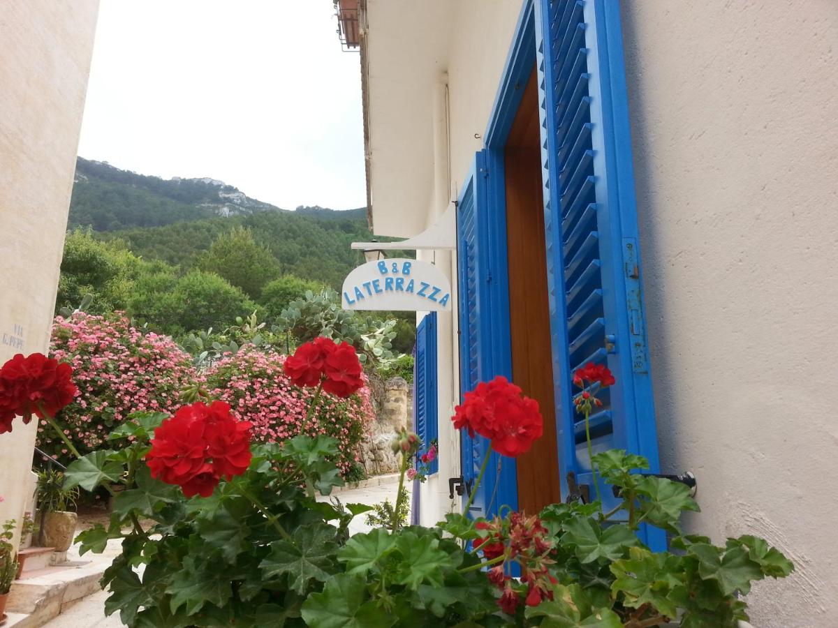 B&B LA TERRAZZA - B&B Marettimo