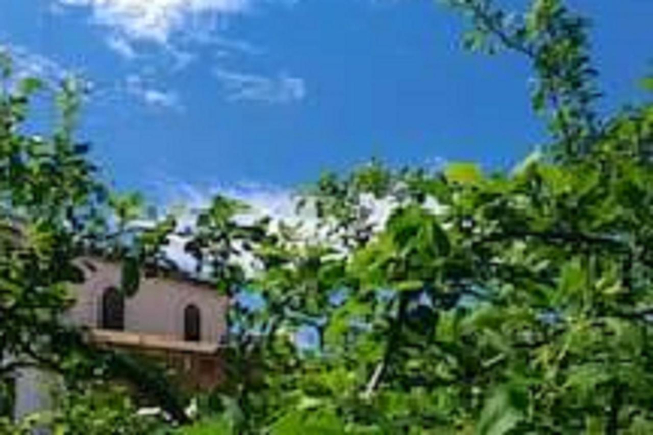 B&B Alcamo - Il Gelsomino Home Holiday - Bed and Breakfast Alcamo