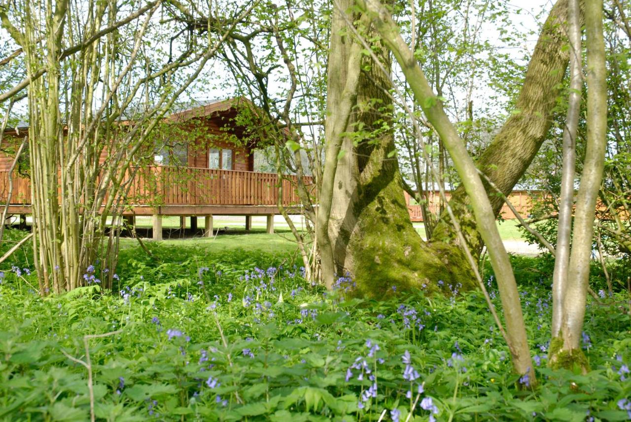 B&B Winchester - South Winchester Lodges - Bed and Breakfast Winchester