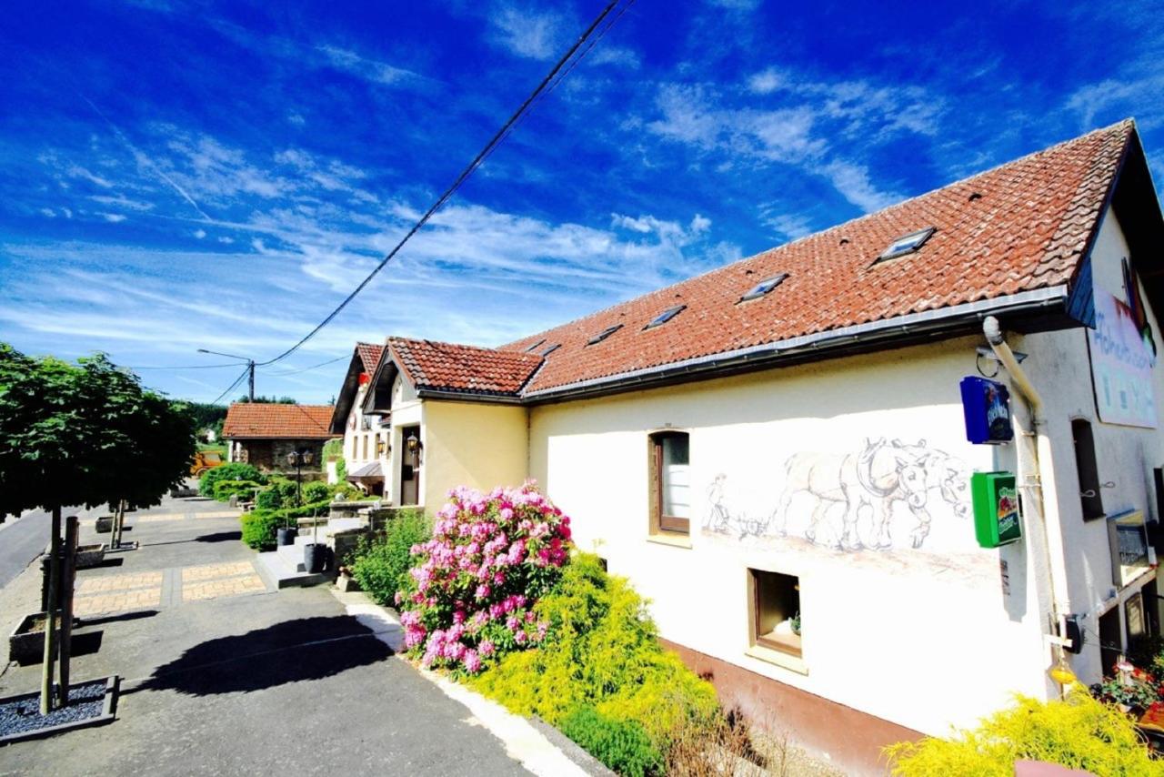 Appartement Am Hohenbusch - Chambres d’hôtes Burg-Reuland