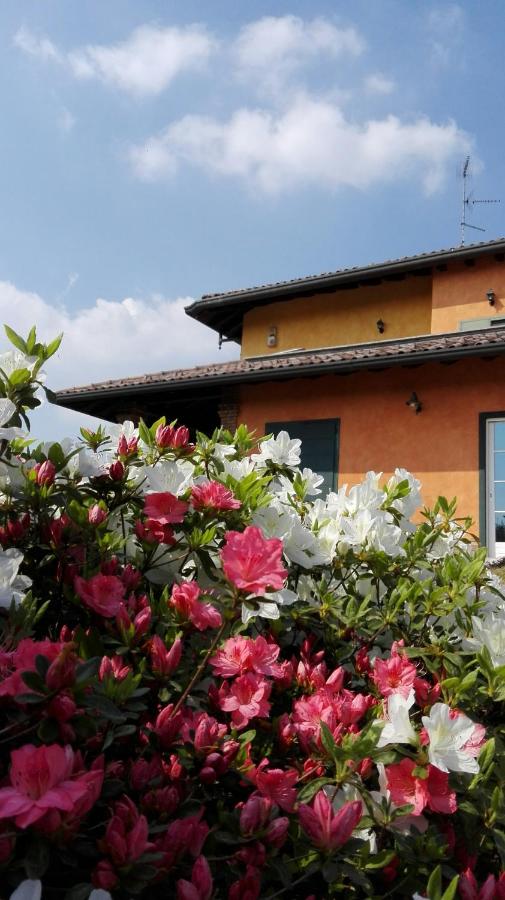 B&B Belvedere - B&B