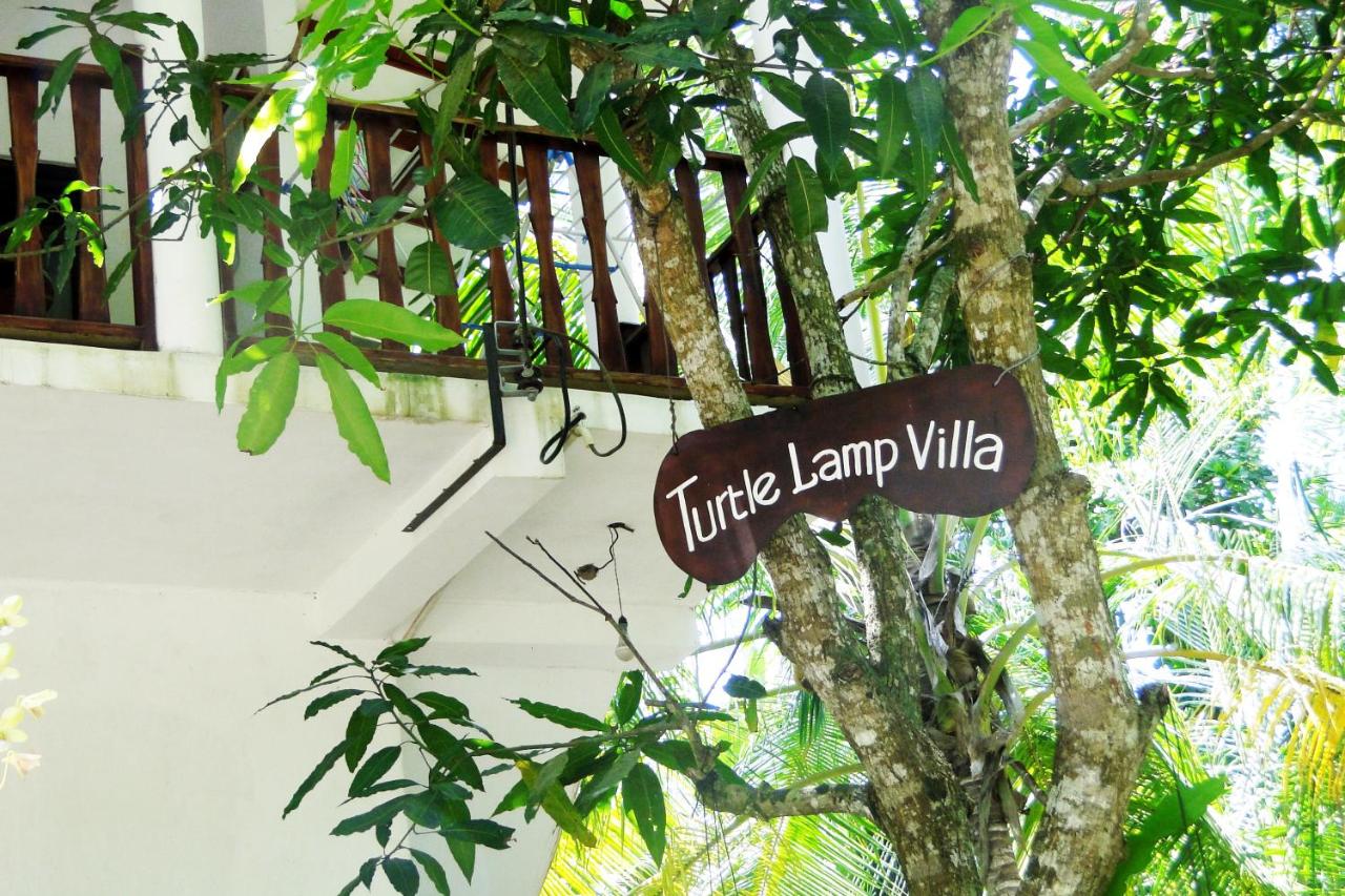 Turtle Lamp - Bed and Breakfast