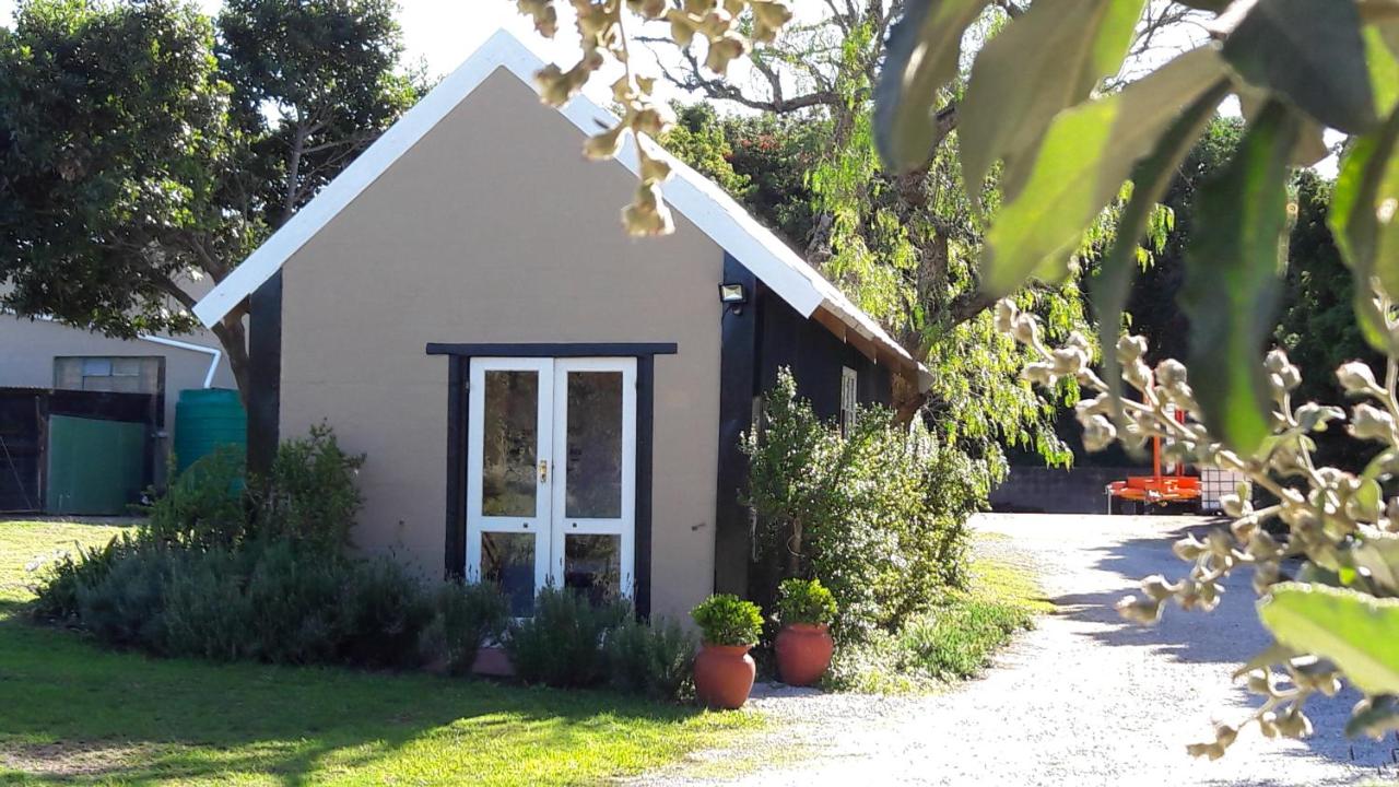 Little Louisa - B&B