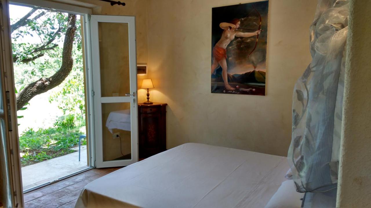 Double or Twin Room with Garden View