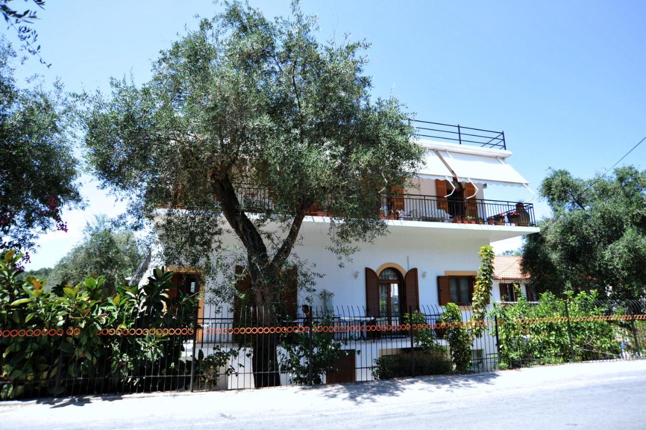 Natsios Studios - Chambres d’hôtes Gáïos