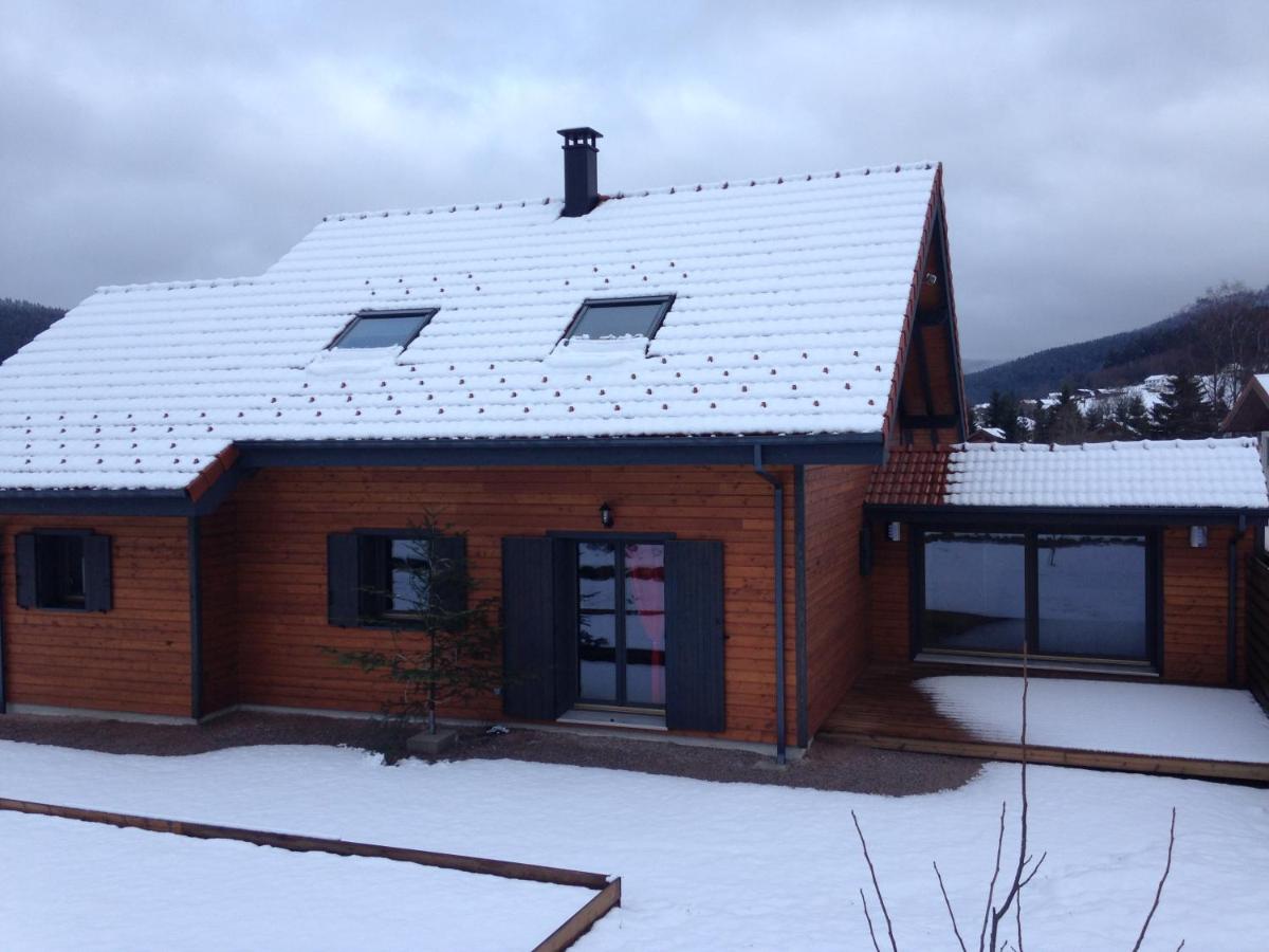 Les jonquilles - B&B