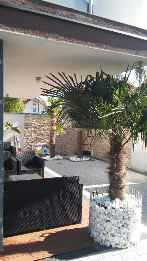 Quadruple Room with Terrace