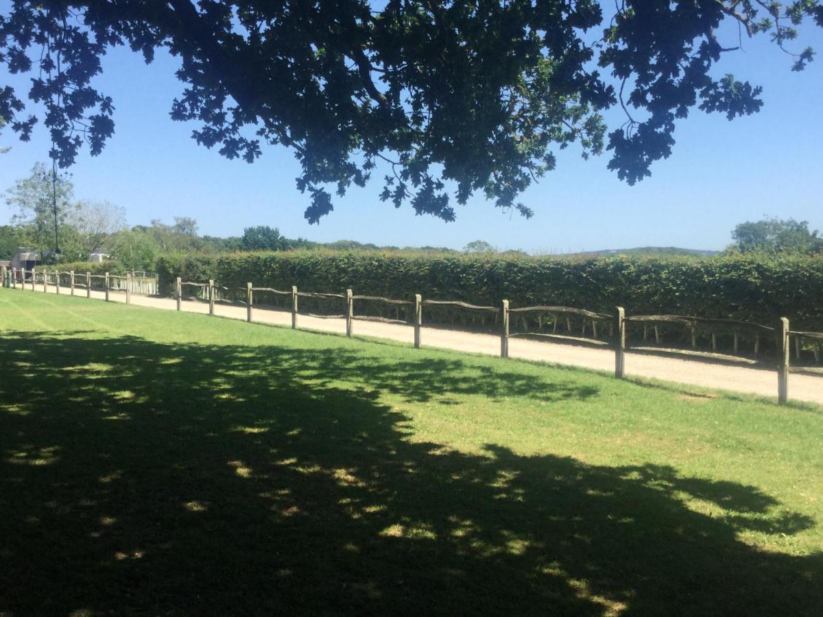 Old Dairy Farm Glamping - B&B Emsworth