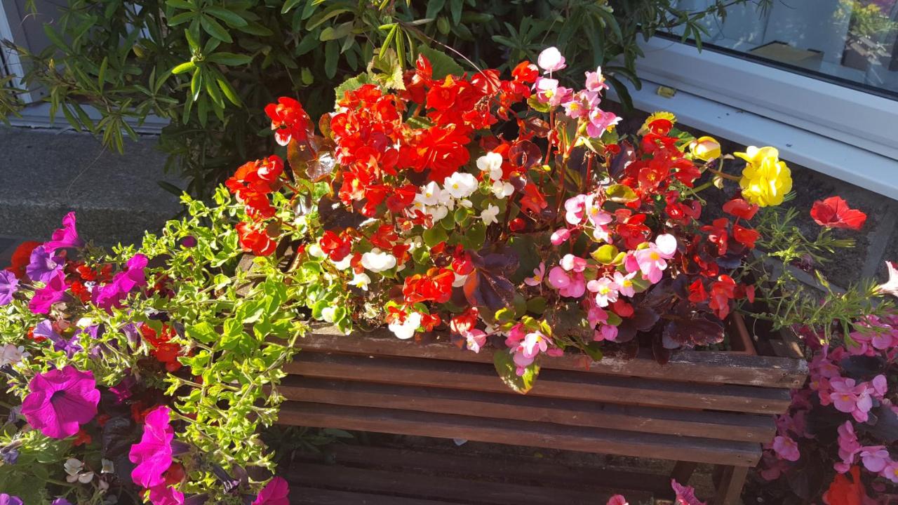 Carlill Guesthouse - B&B St Ives