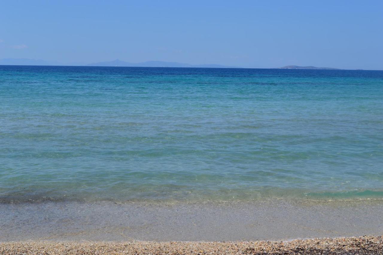 Casa Saronida - B&B Lagonissi