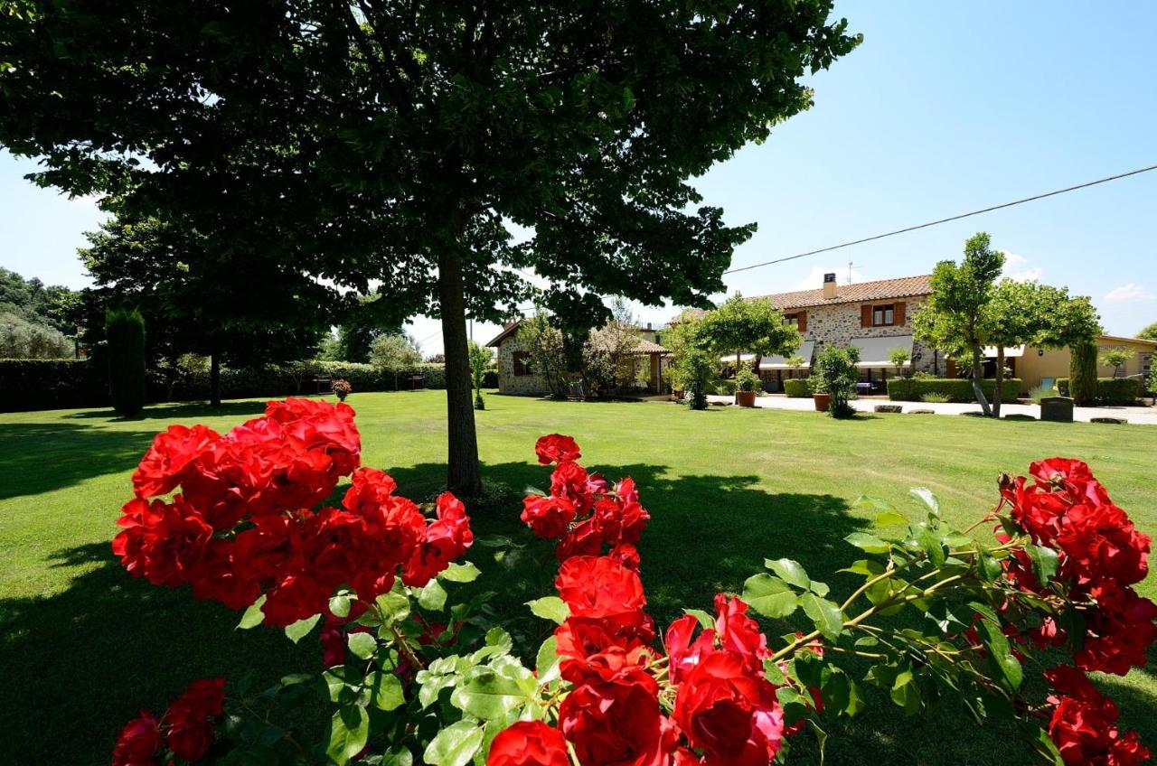 AgriResidence L'Antica Fattoria - sul Lago - Chambres d'hôtes Bolsena