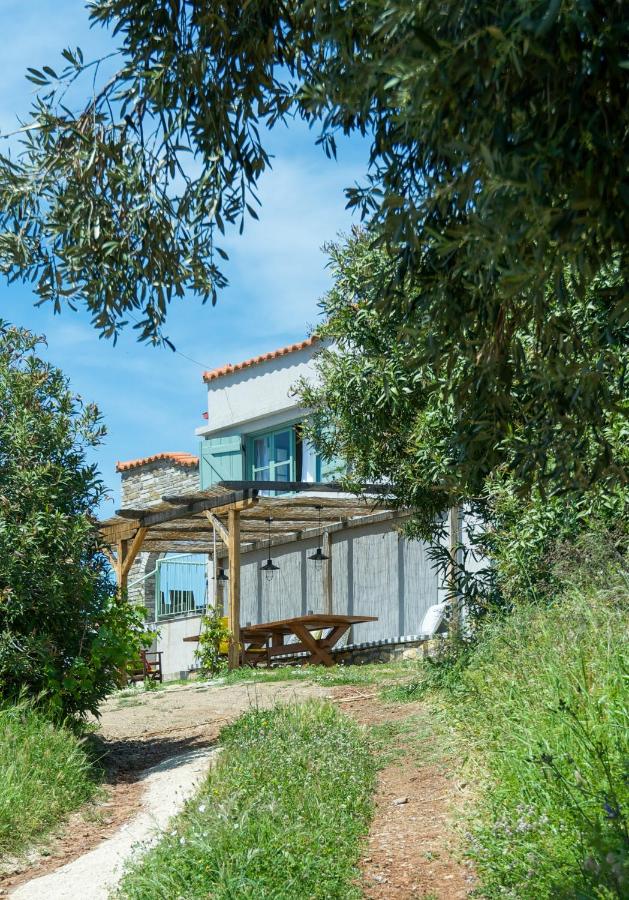 B&B Ouranoupoli - Avaton Farm - Bed and Breakfast Ouranoupoli